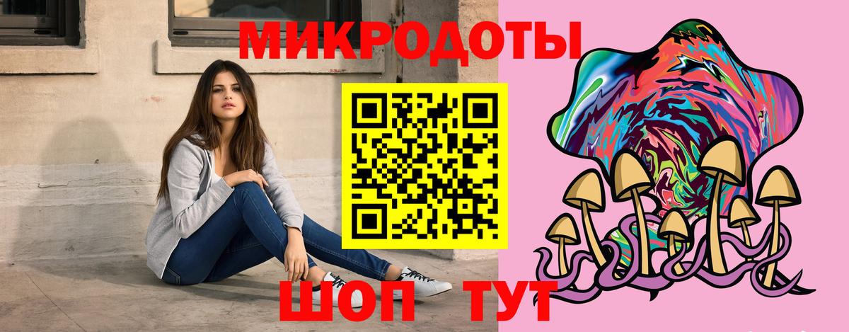 Псилоцибиновые грибы Psilocybe Железноводск