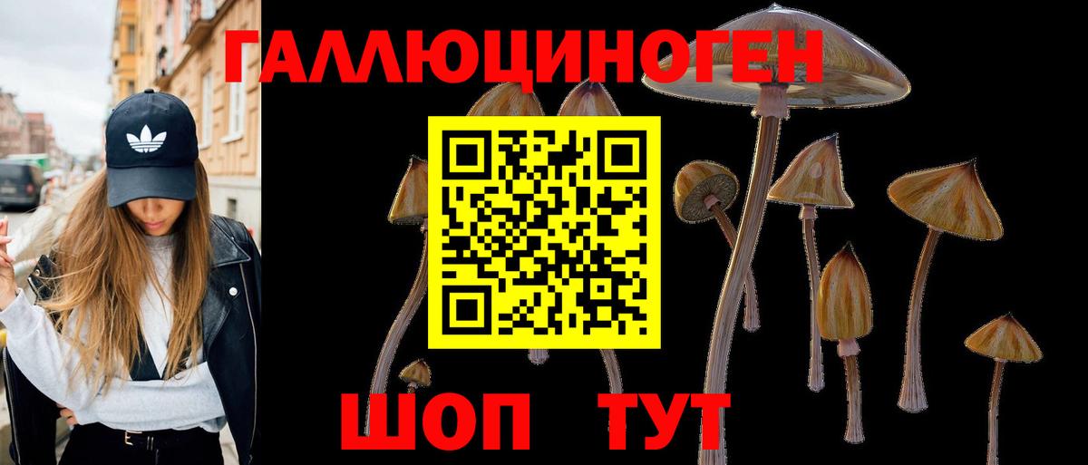 Железноводск  Псилоцибиновые грибы GOLDEN TEACHER  Вход с VPN 
